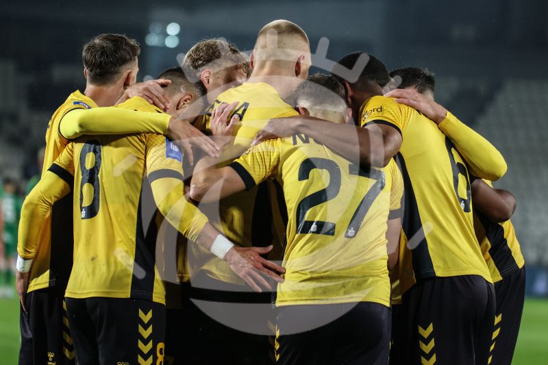 Piłka Nożna: 2024/2025 PKO BP EKSTRAKLASA PUSZCZA NIEPOLOMICE - GKS KATOWICE - Agencja Fotograficzna